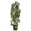 Sztuczne Anturium 75 3 pnie