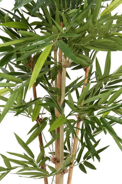 Sztuczny bambus 150 cm Tuft 832 liście naturalne łodygi bambusa