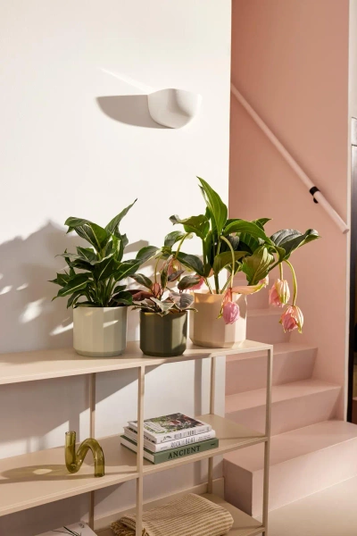 Facet 14 osłonka geometryczna różowa almond pink