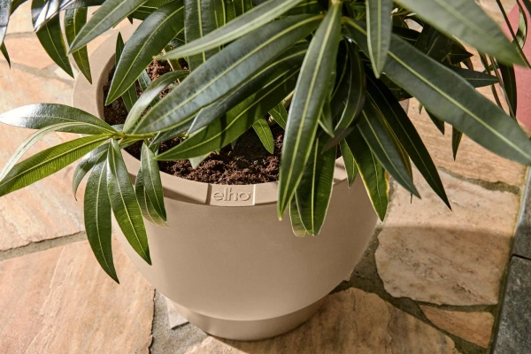 Amber Coupe Round 41/58 nowoczesna donica beżowa piedestał