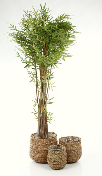 AVALON 3-PAK zestaw doniczek wiszących lub stojących z trawy morskiej