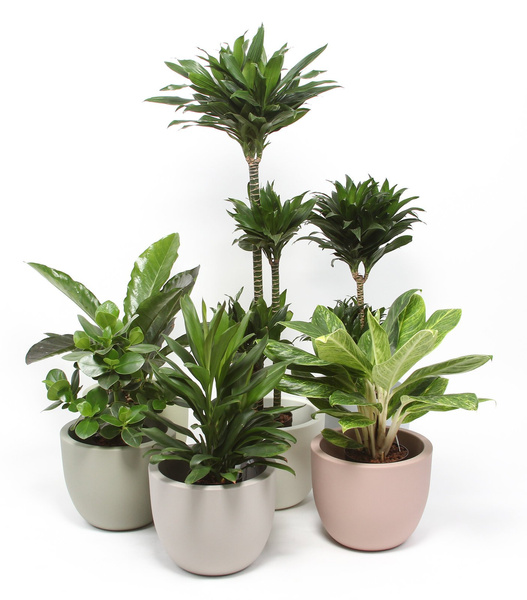 ETRIA 24/20 doniczka okrągła biała