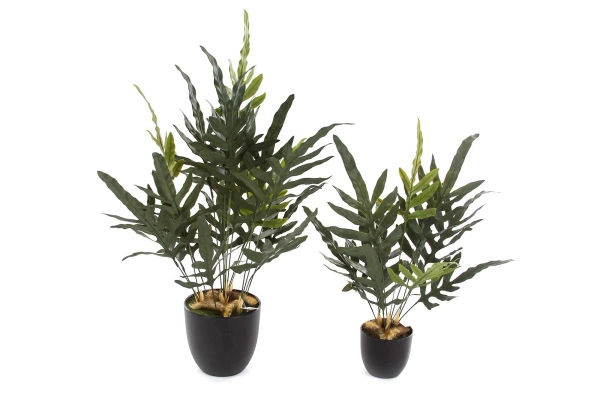 Sztuczna paproć blue fern phlebodium 53 cm w doniczce