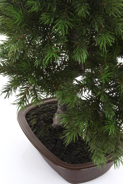 Sztuczne drzewko Bonsai Sosna Pinia 48 cm w brązowej ceramicznej doniczce