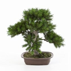 Sztuczne drzewko Bonsai Sosna Pinia 48 cm w brązowej ceramicznej doniczce