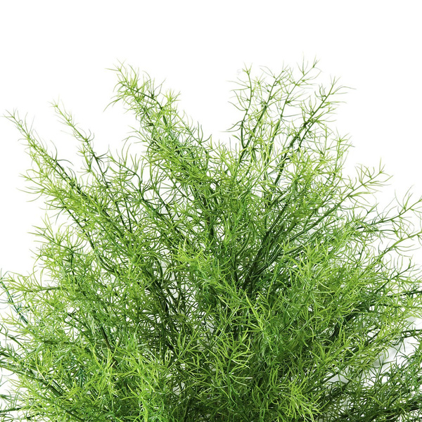 Sztuczny Asparagus 60 cm busz zielony