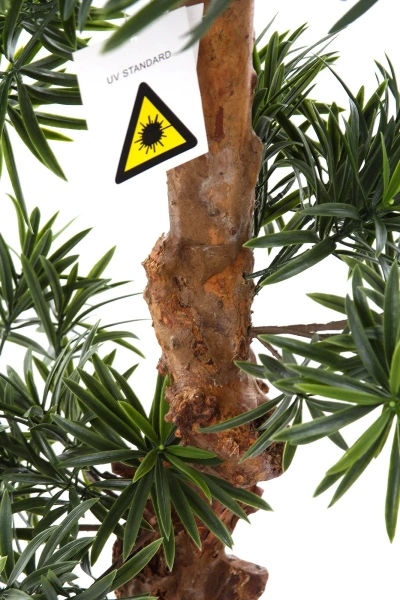 Sztuczny Podocarpus Bonsai 105 cm UV