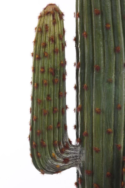 Sztuczny Kaktus Meksykański 170 cm