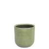 ś.19 w.19 \ jasnozielony / ash green