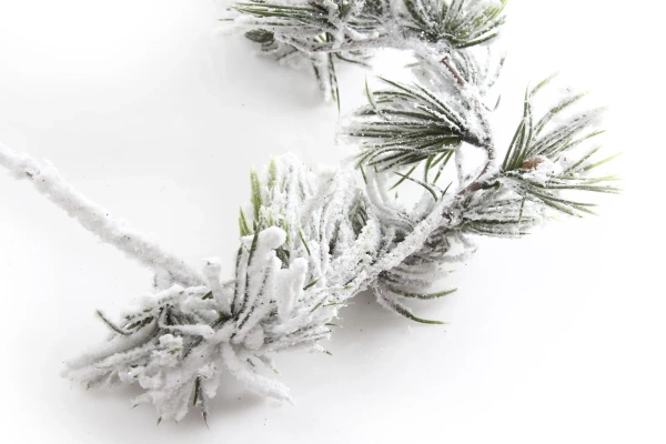 Sztuczna Sosna girlanda ośnieżona pnącze 180 cm