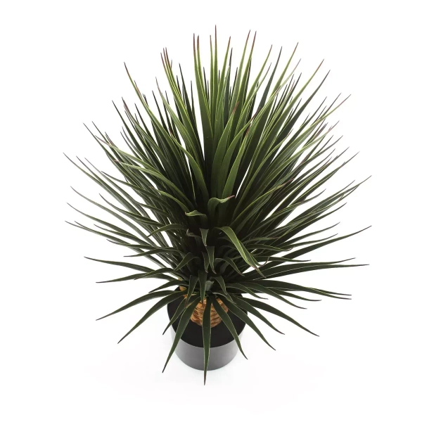 Sztuczna Juka Yucca rostrata 85 cm