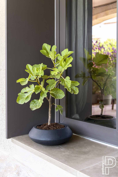 Tara L 80/30 duża płaska kamienna donica czarna