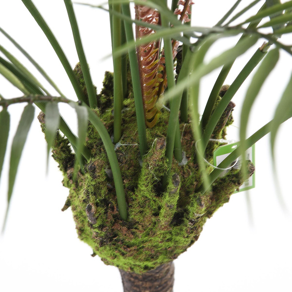 Sztuczna palma Chamedora na pniu 85 cm jak żywa