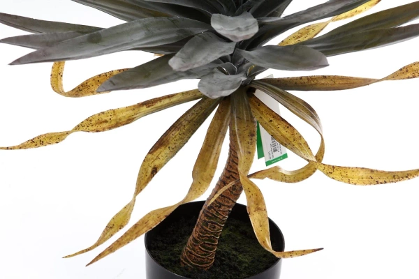 Sztuczna Juka na pniu 75 cm