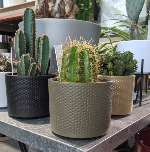 ERA 12/10 osłonka ceramiczna w kropki zielona