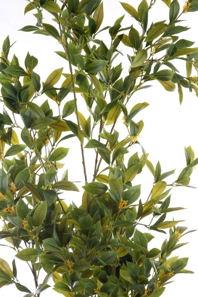 Sztuczne drzewko laurowe Laurus Nobilis 195 cm