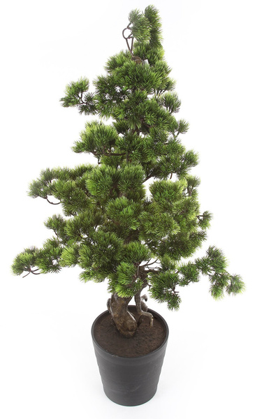 Sztuczne drzewko Bonsai Sosna Pinia 110 cm