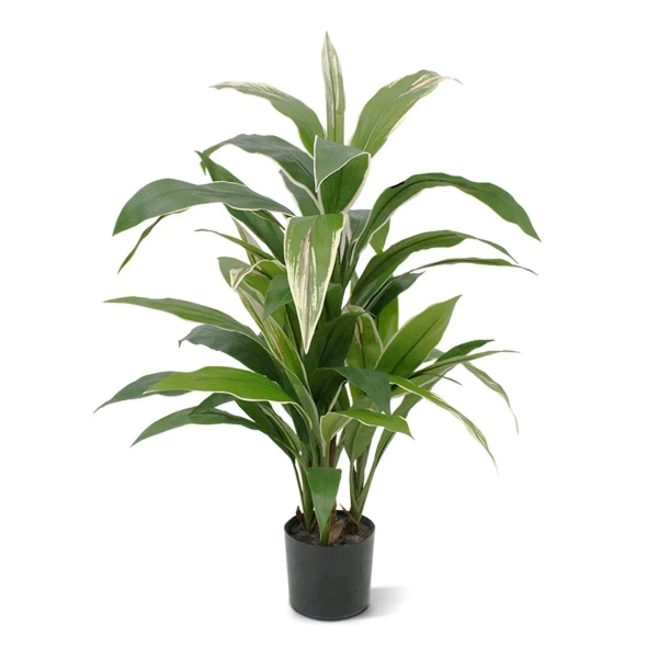 Sztuczna Dracena variegata 80 cm