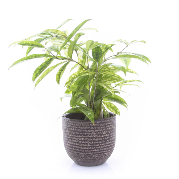 Carrie 14/12 osłonka ceramiczna brązowa tekstura