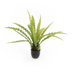 Sztuczne asplenium paproć 46 cm w doniczce