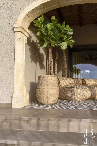 Sztuczny Fikus Lyrata dębolistny 150 cm