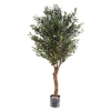 Sztuczna Oliwka 155 cm na grubym pniu deluxe