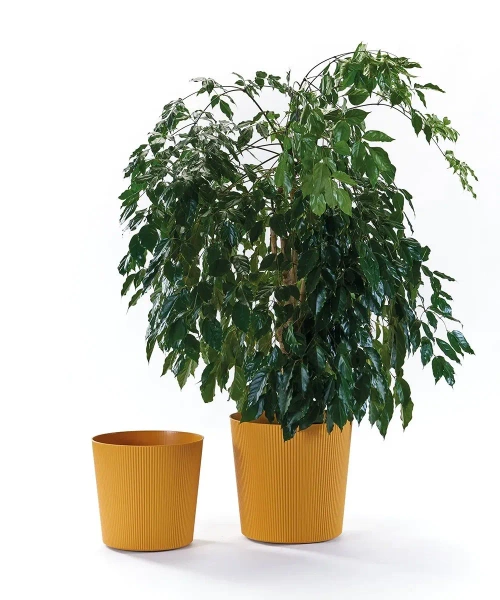 Fyre 40 oliwkowa donica ryflowana na kółkach