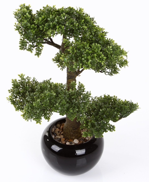 Sztuczne drzewko Bonsai Fikus mini 47 cm w czarnej ceramicznej doniczce