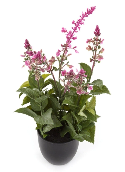 Sztuczna szałwia różowa 39 cm w doniczce zioła