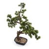Sztuczny Bonsai Sosna Pinia 70 cm