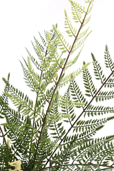 Sztuczna Paproć w doniczce 65 cm 11 liści Weatherproof UV