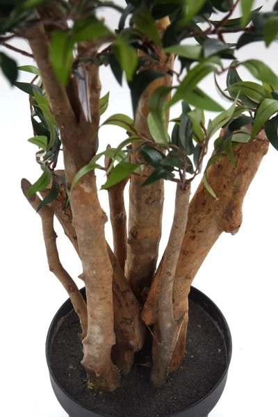 Sztuczny ruszczyk myszopłoch drzewko 170 cm 4130 liści