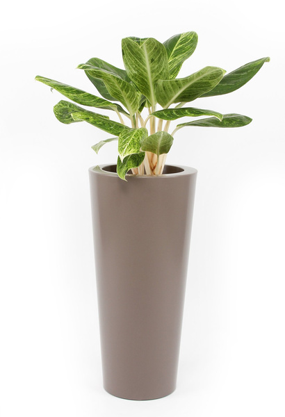 ILIE GLOSS 32/67 doniczka wysoka okrągła taupe półpołysk