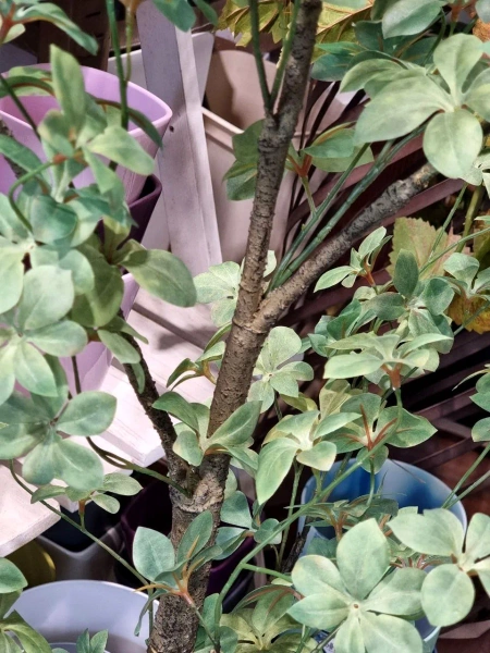 Sztuczna Nasturcja drzewko 185 cm