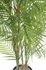 Sztuczna palma Chamedora 120 cm