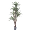 Sztuczna Dracena 150-160 cm 150 liści naturalny pień