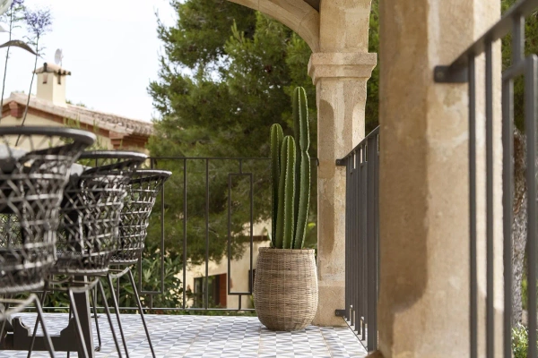 Sztuczny Kaktus San Pedro XL 100 cm