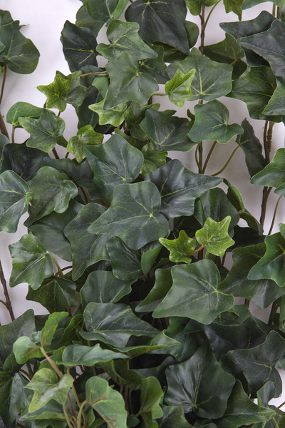 Sztuczny Bluszcz English Hedera wiszący pnącze 170 cm zielony