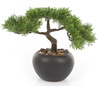 Sztuczne drzewko Bonsai Cedr 26 cm czarnej doniczce