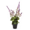 Sztuczna Szałwia lawendowa w doniczce 45 cm