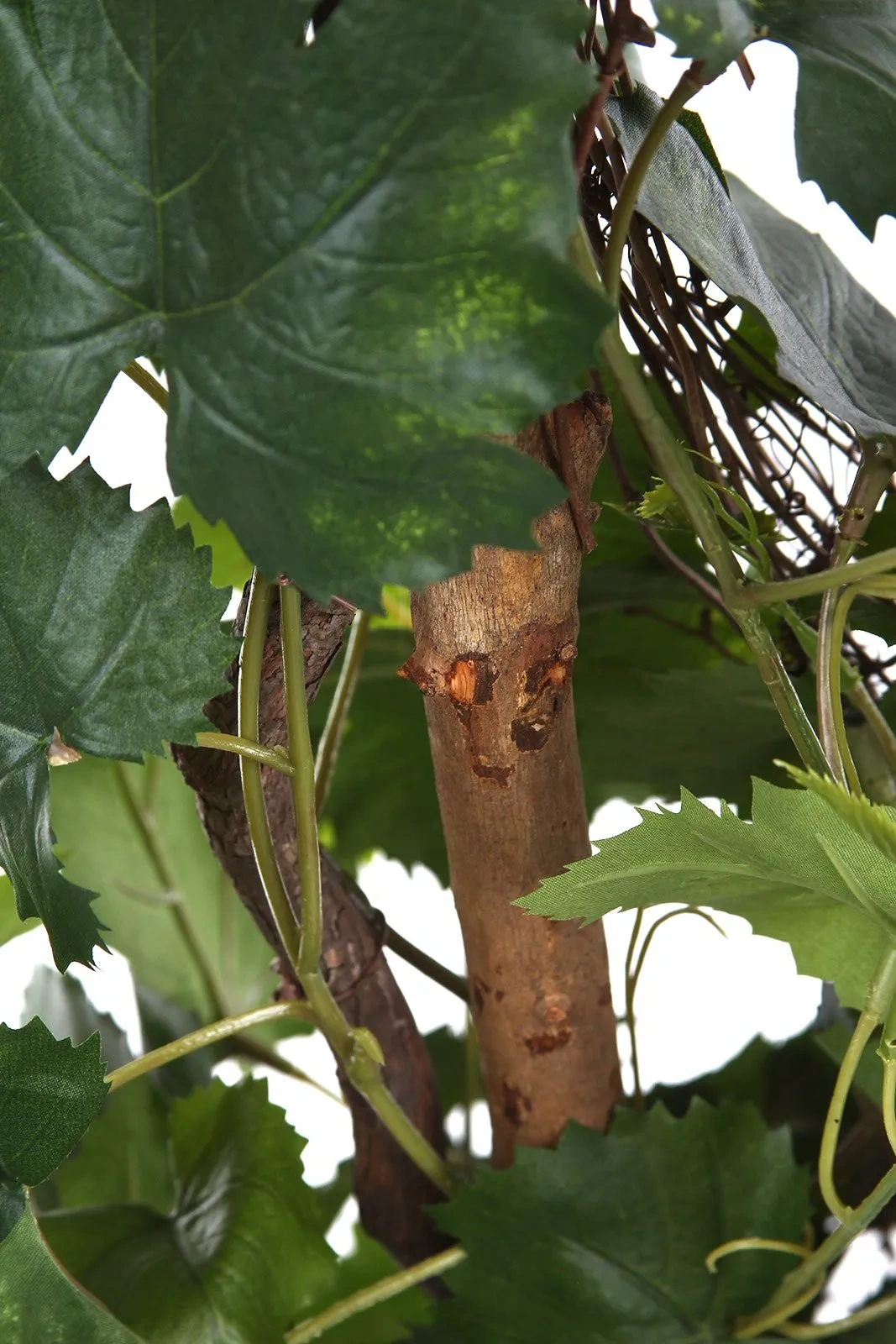 Sztuczne winogrono na naturalnym drewnianym pniu