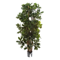 Sztuczna Schefflera gęsta na naturalnych pniach 120 cm deluxe