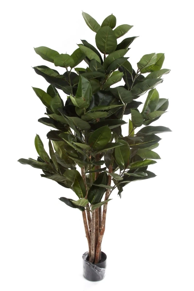 Sztuczny Fikus Elastica Robusta 170 cm