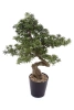 Sztuczny Bonsai Podocarpus 90x60 cm
