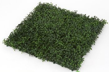 Sztuczna zielona ściana panel Bukszpan 50x50 UV wodoodporna