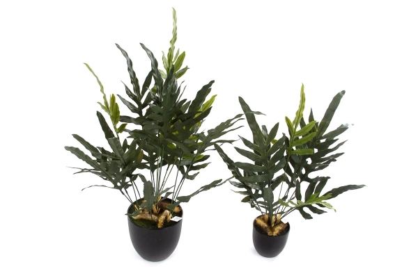 Sztuczna paproć blue fern phlebodium 40 cm w doniczce