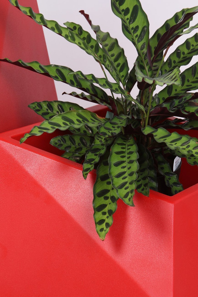 FAZ VONDOM 58x45/42 niska donica designerska czerwona