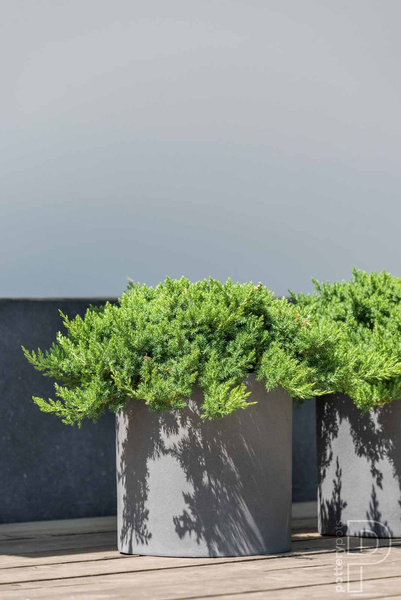 Max M 43/43 szara donica cylindryczna