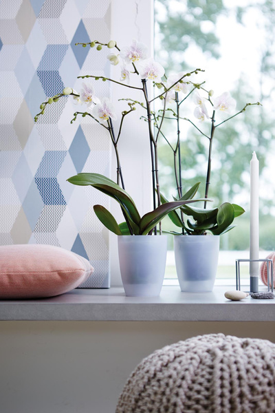 BRUSSELS ORCHID HIGH 12,5 doniczka na storczyki biała