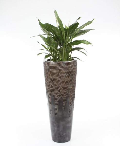 UNIVERSE COMET STRAIGHT 36/90 wysoka donica ręcznie zdobiona brązowa